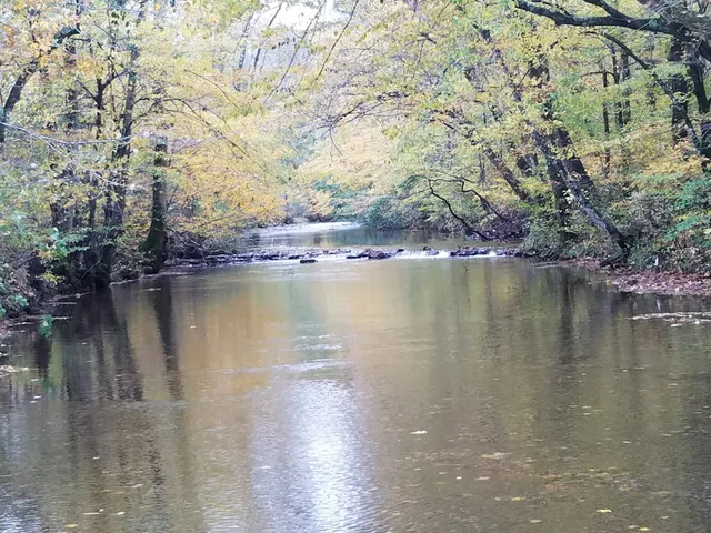 $825,000 | 323 Spring Creek Road, Lawrenceburg, TN 38464