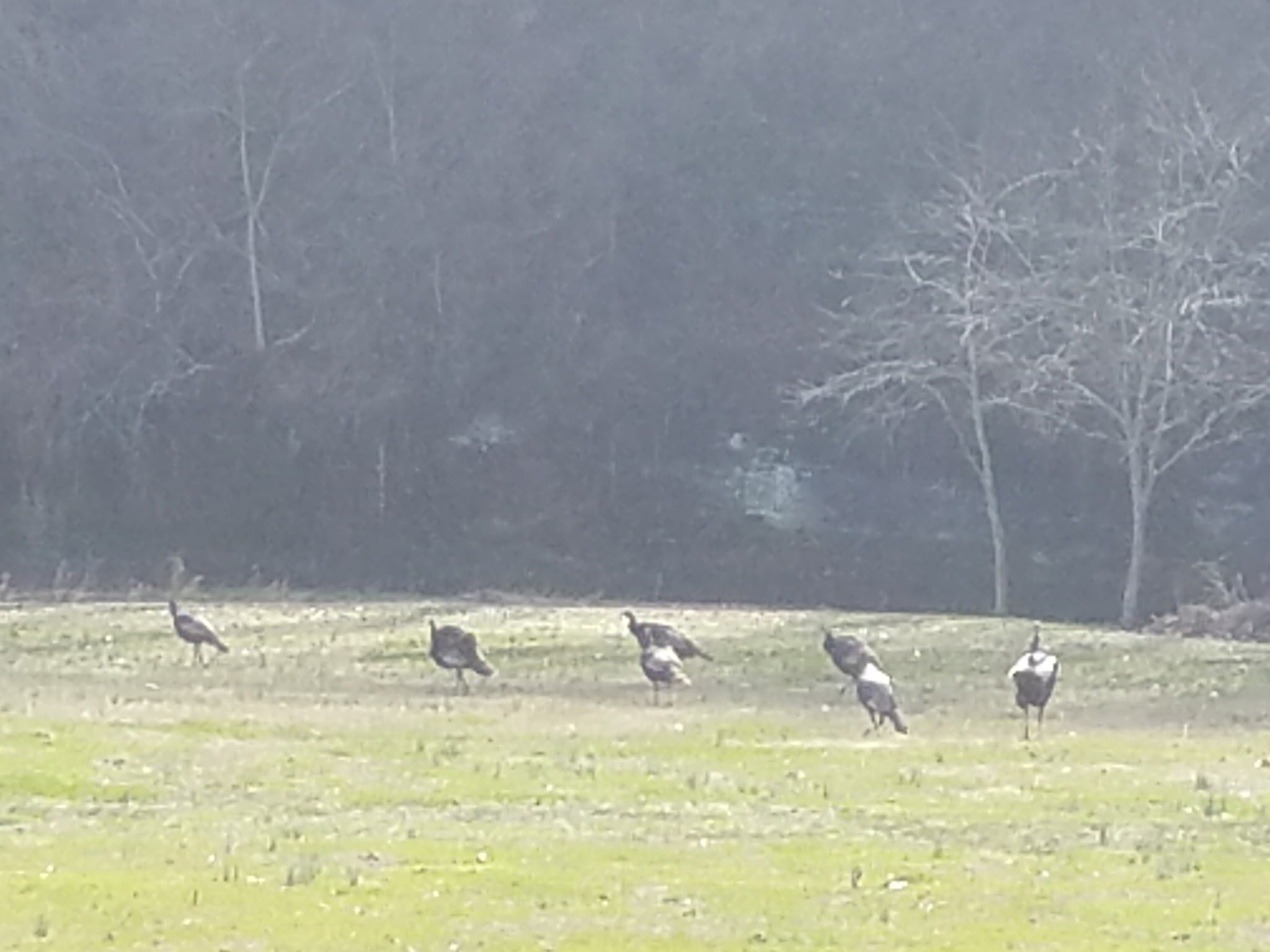 323 Spring Creek Road Lawrenceburg, TN 38464 - Photo 43 of 49 a view of a faucet