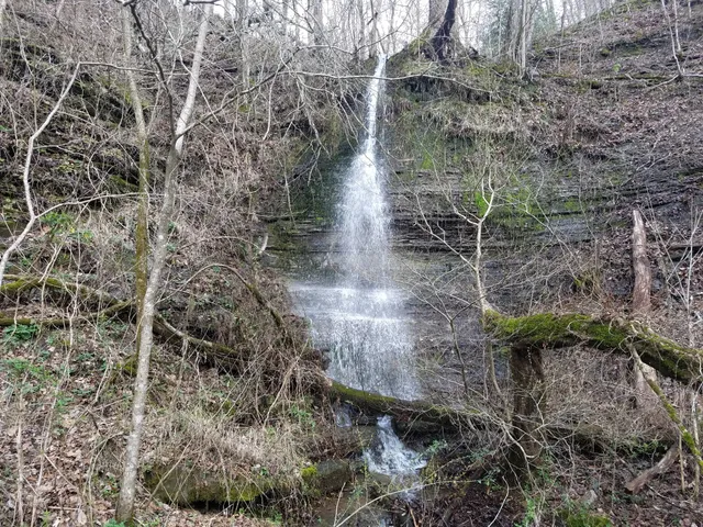 $825,000 | 323 Spring Creek Road, Lawrenceburg, TN 38464