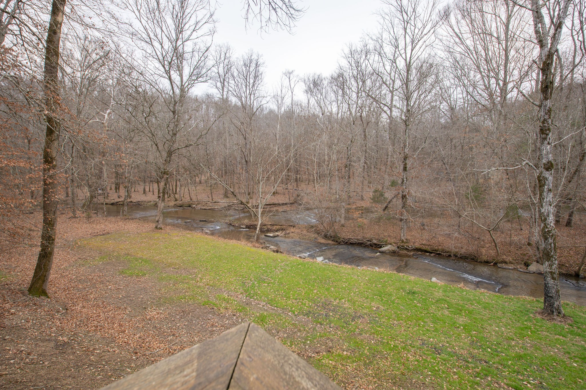 323 Spring Creek Road Lawrenceburg, TN 38464 - Photo 6 of 49 a view of yard with trees in the background