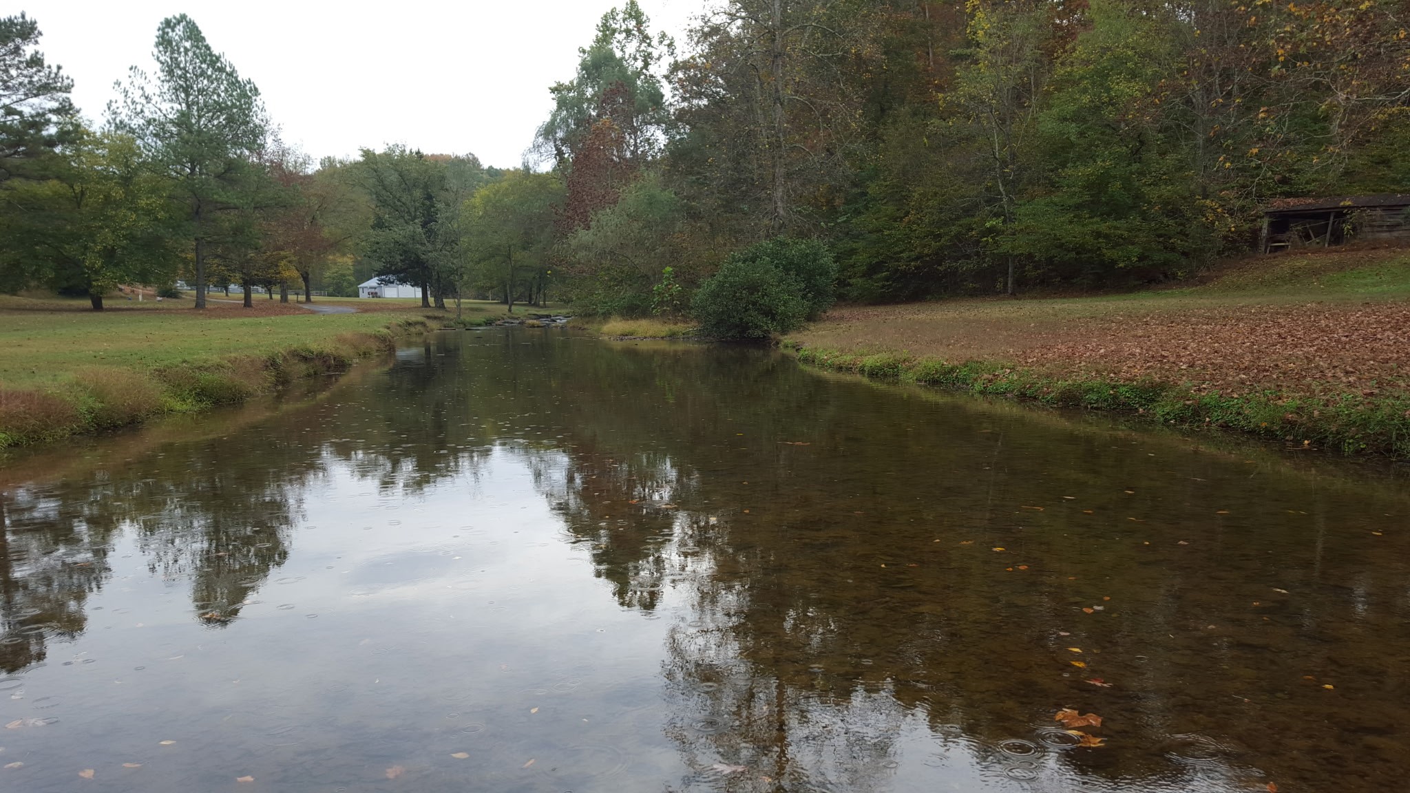 323 Spring Creek Road Lawrenceburg, TN 38464 - Photo 8 of 49 a view of lake
