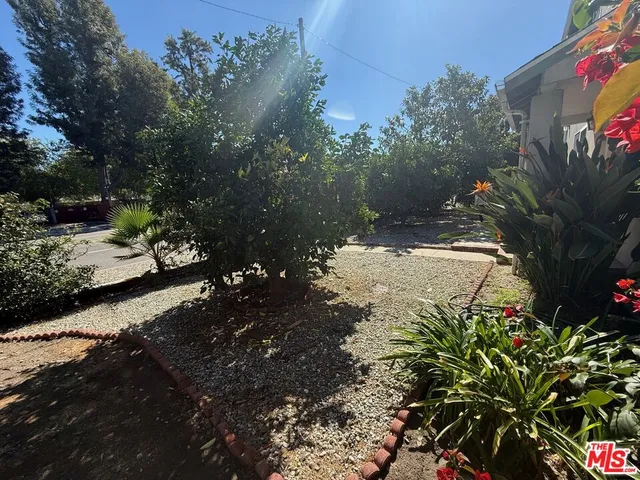 a view of a pathway with a tree