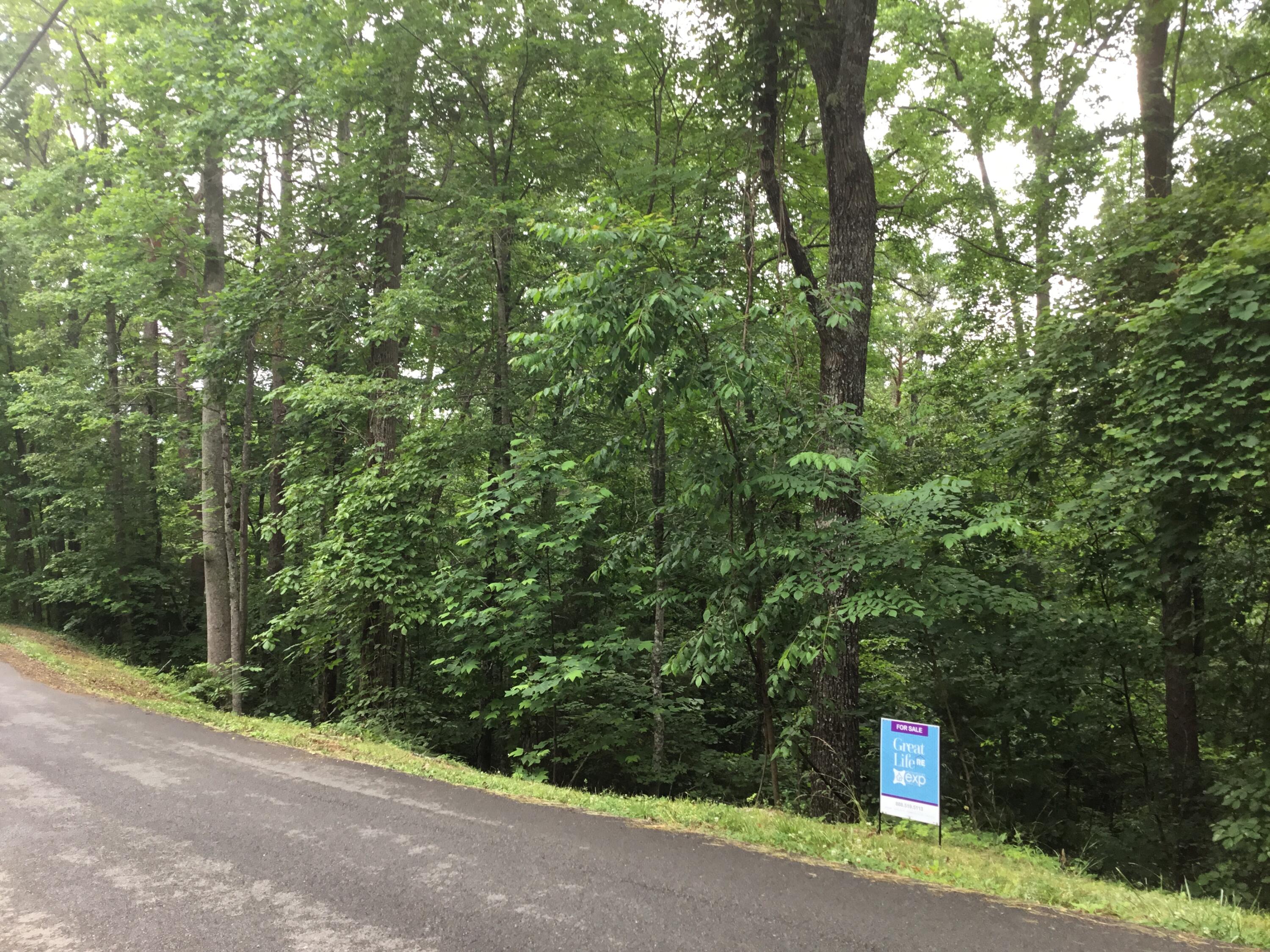 Hidden Mtn Road Sevierville, TN 37876 - Photo 1 of 1 lot 51