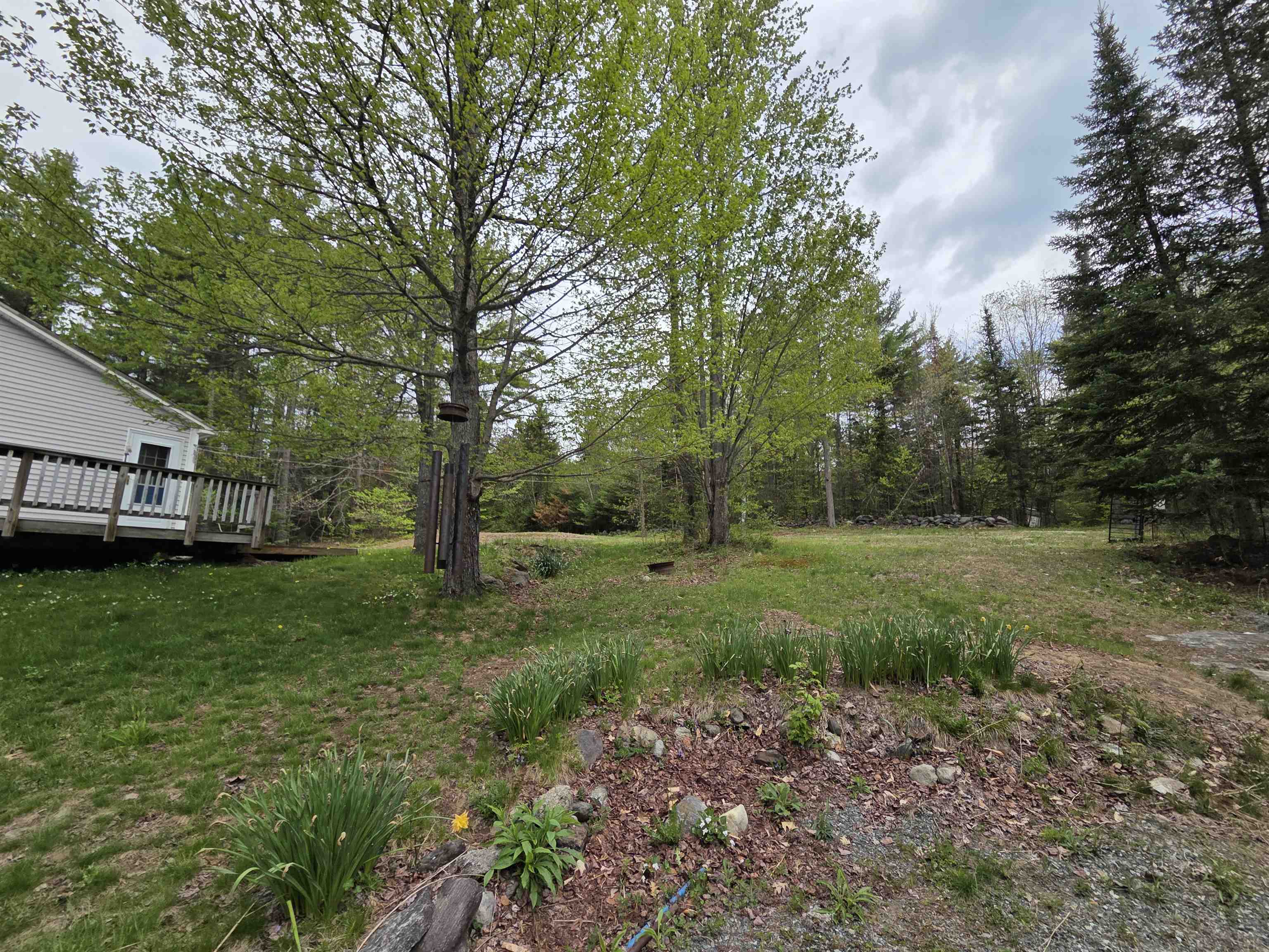 317 Potato Road Enfield, NH 03748 - Photo 7 of 37 Gallery Image 7