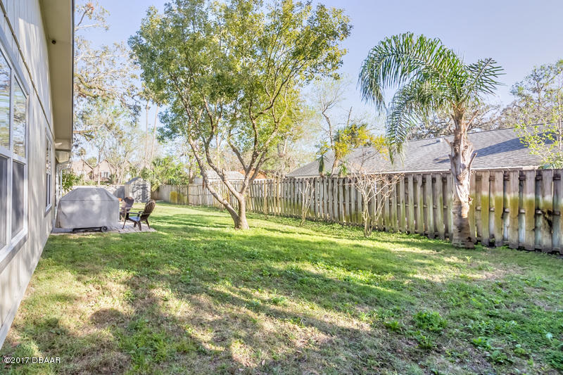 933 Mill Rd Lane Port Orange, FL 32127 - Photo 47 of 49 Back Yard