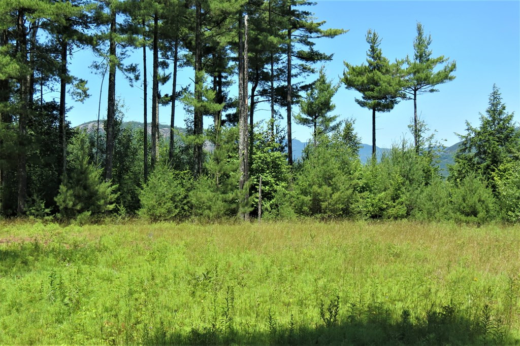407 Upper Jay-Trumbulls Corners Road Jay, NY 12941 - Photo 17 of 25