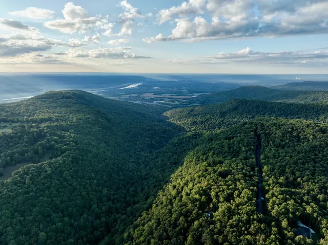 a backyard of a house with lots of plants and trees