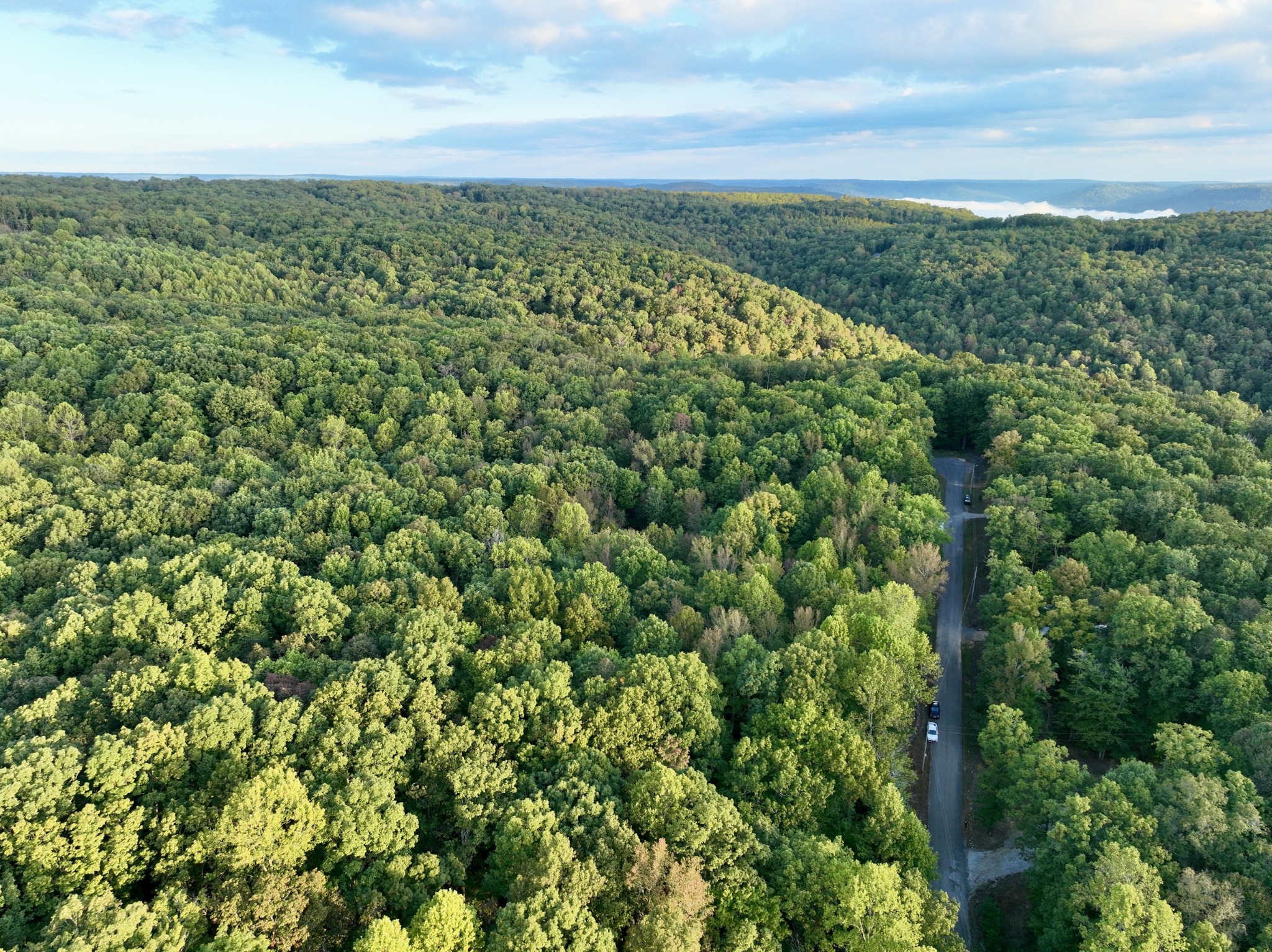 1 Three Forks Road Linden, TN 37096 - Photo 12 of 34 a view of a green field