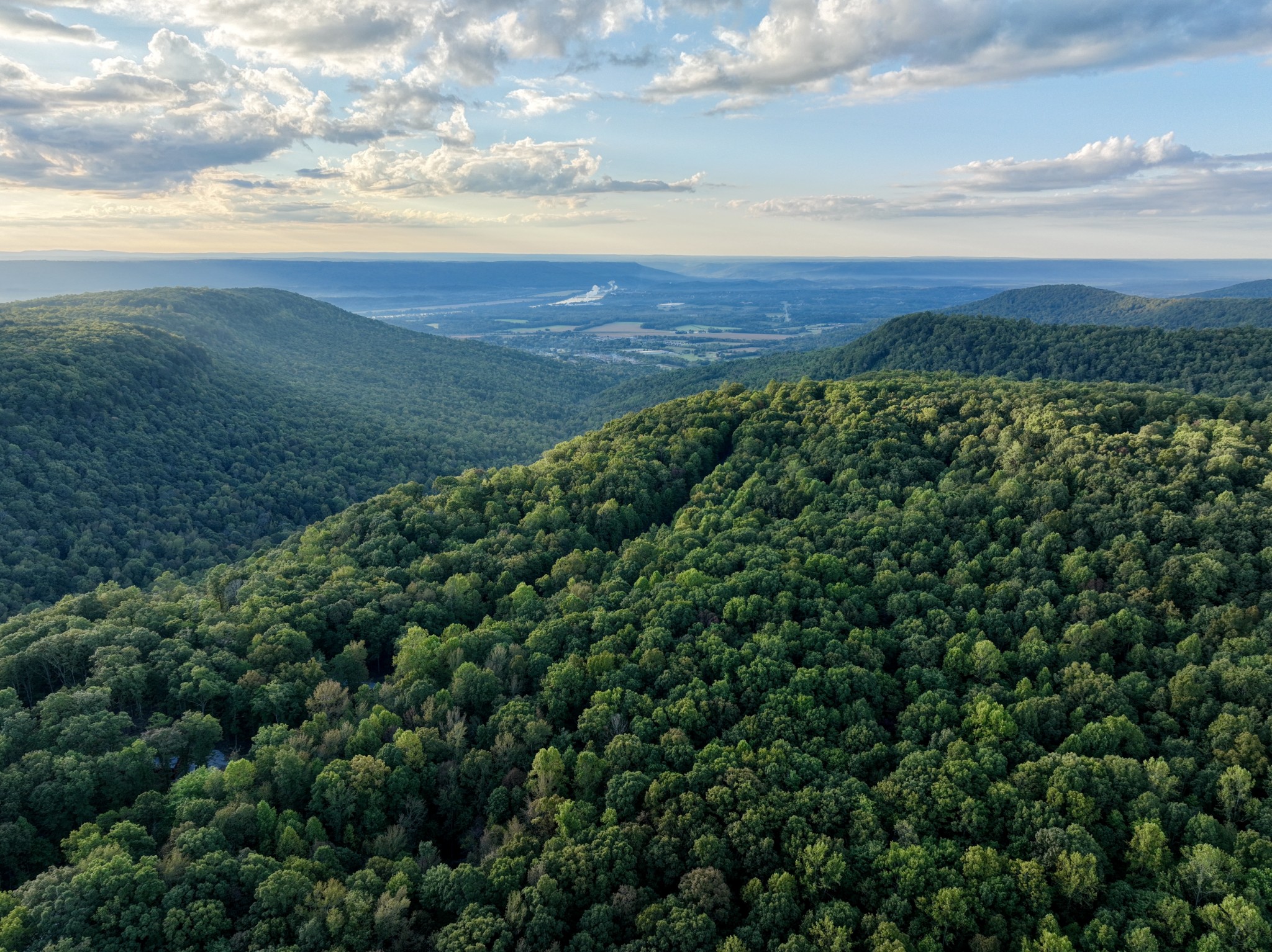 1 Three Forks Road Linden, TN 37096 - Photo 15 of 34 a view of a large yard with lots of green space