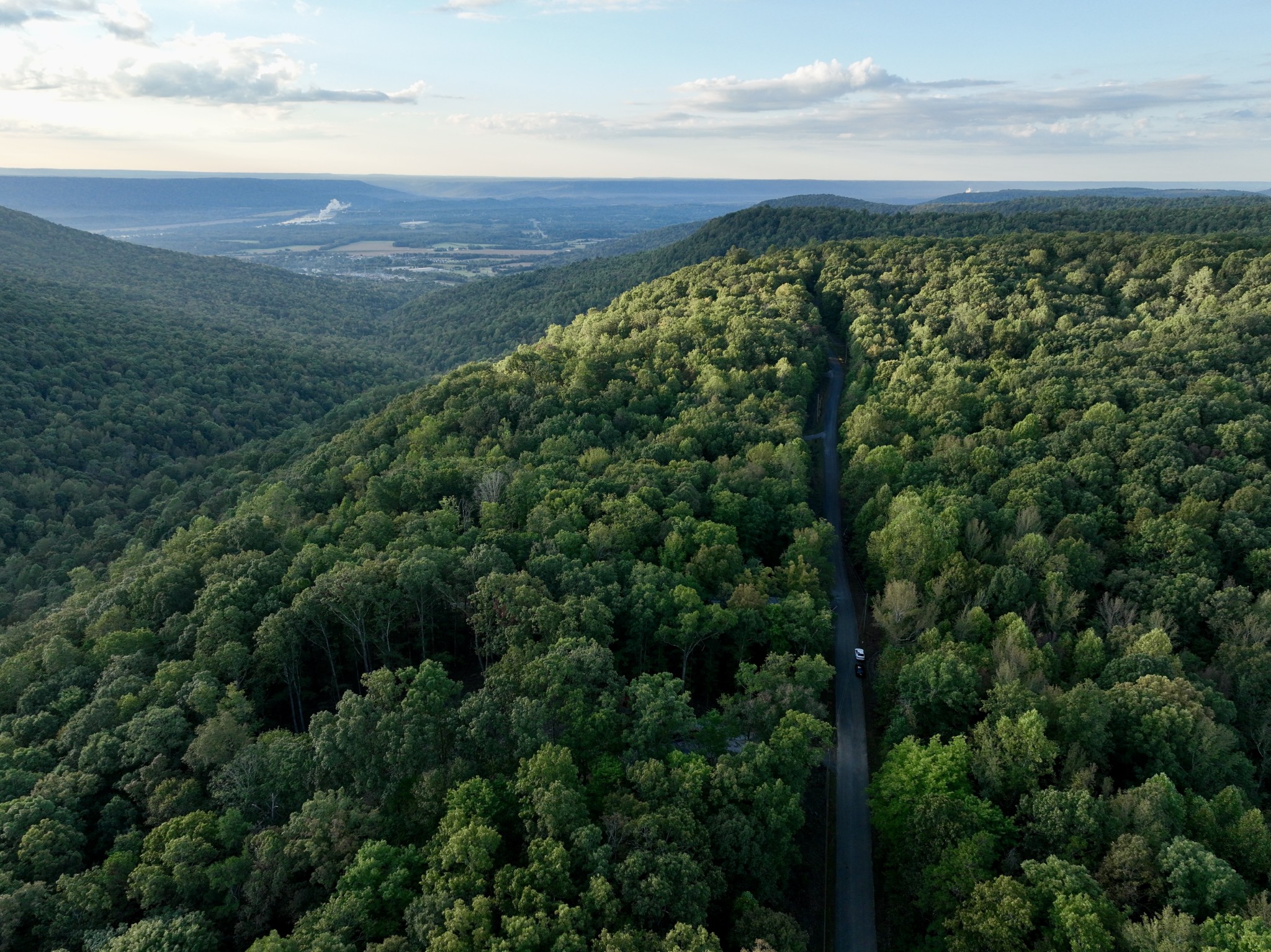 1 Three Forks Road Linden, TN 37096 - Photo 16 of 34 a view of a lush green forest with a lake