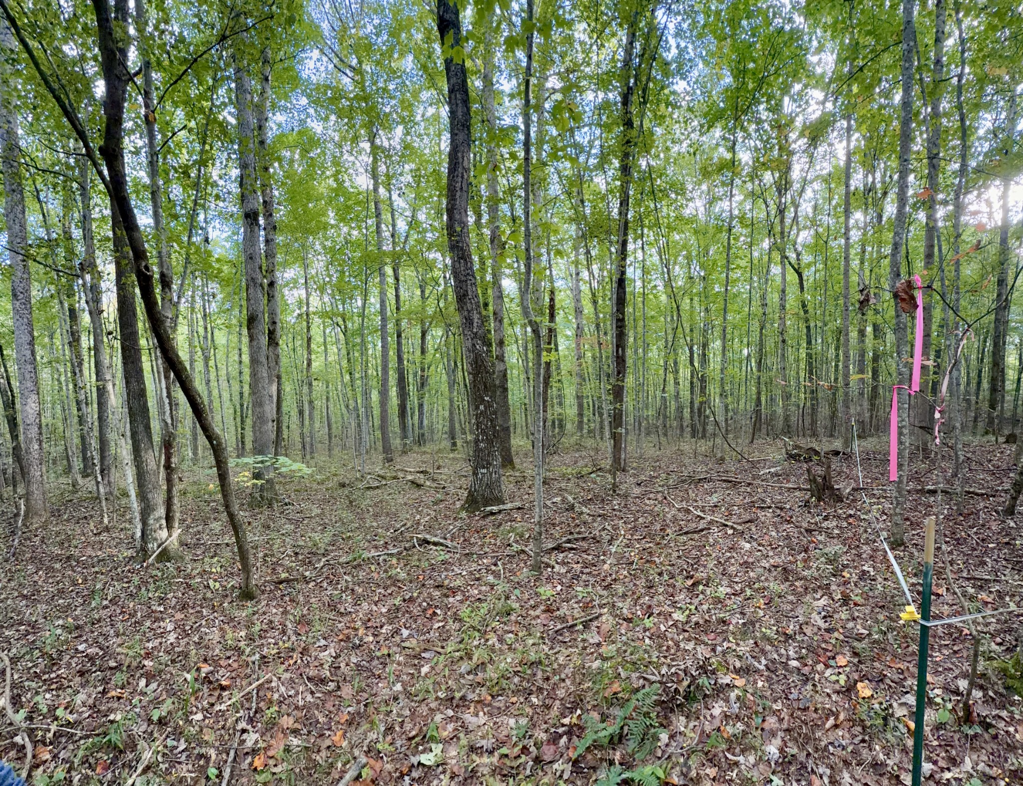 1 Three Forks Road Linden, TN 37096 - Photo 29 of 34 a view of outdoor space and green space