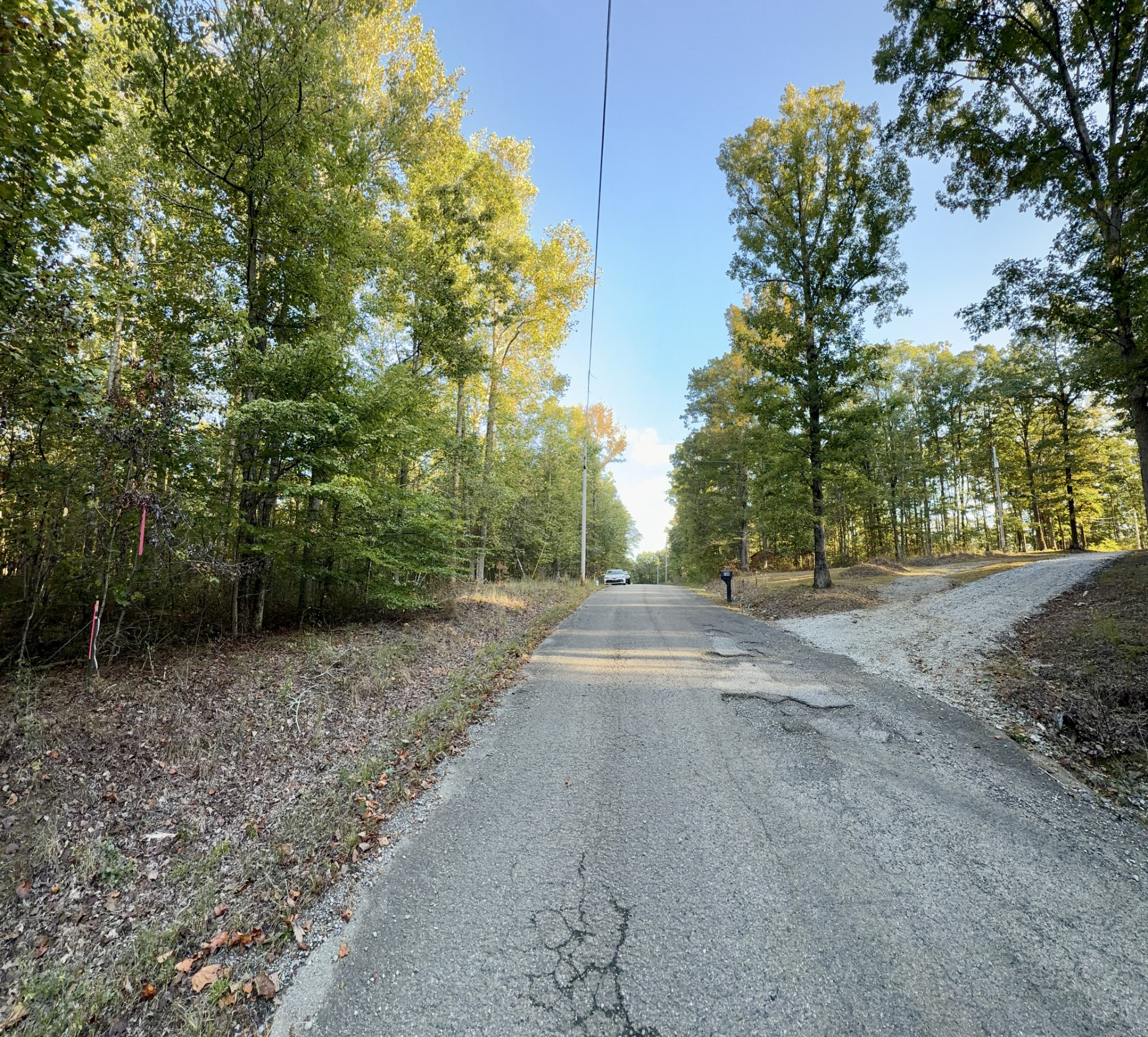 1 Three Forks Road Linden, TN 37096 - Photo 3 of 34 a view of a yard with plants and trees