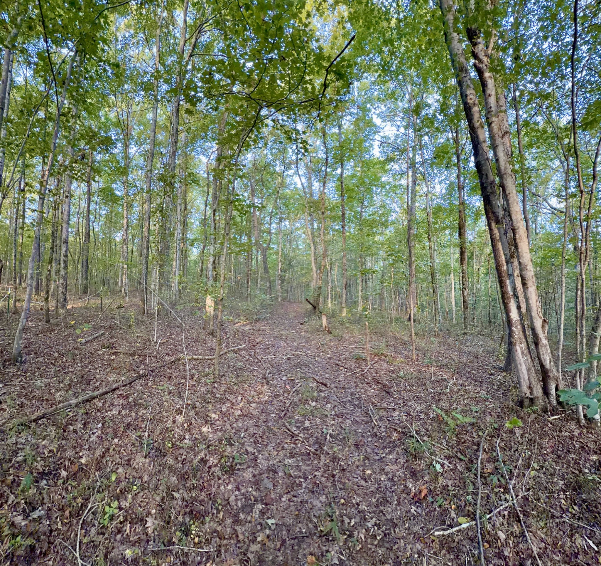 1 Three Forks Road Linden, TN 37096 - Photo 31 of 34 a view of outdoor space and green space