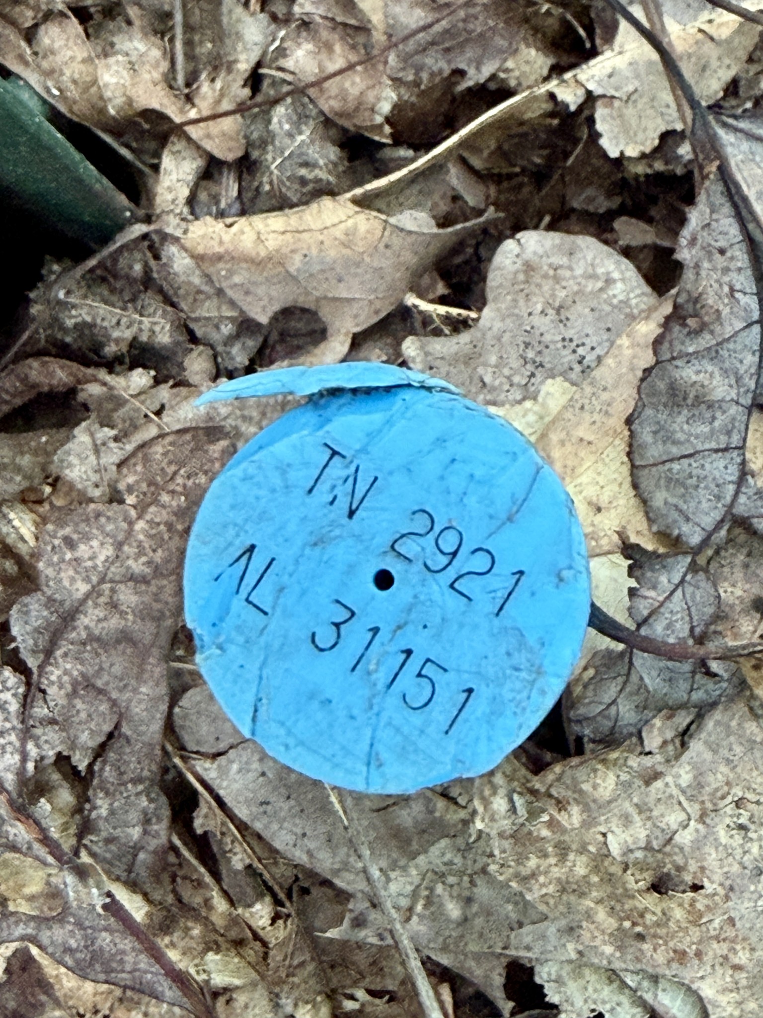 1 Three Forks Road Linden, TN 37096 - Photo 34 of 34 a view of entryway