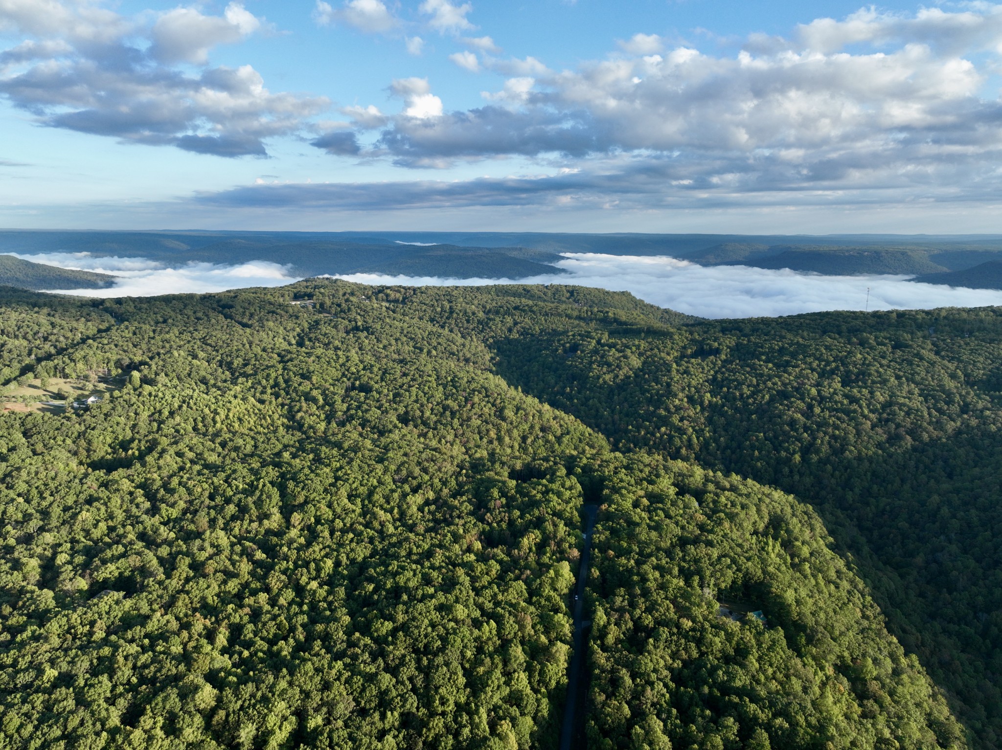 1 Three Forks Road Linden, TN 37096 - Photo 6 of 34 a view of a pathway both side of grassy field with shrub
