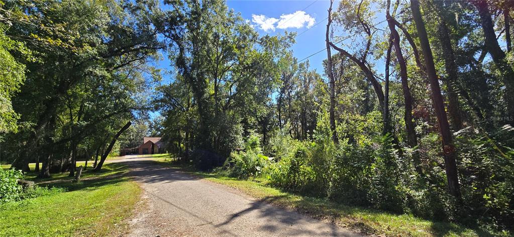 Foreside Avenue Brooksville, FL 34601 - Photo 2 of 5 a view of a yard with plants and trees
