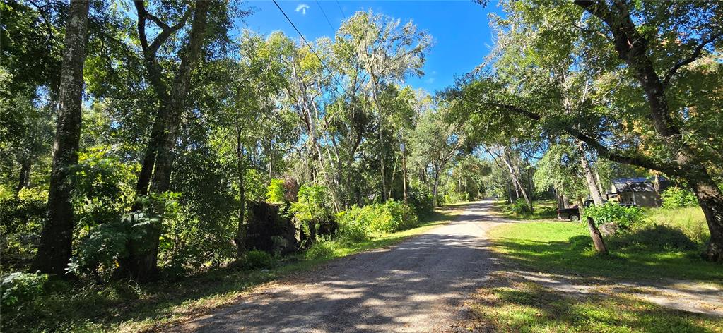 Foreside Avenue Brooksville, FL 34601 - Photo 5 of 5 a view of yard