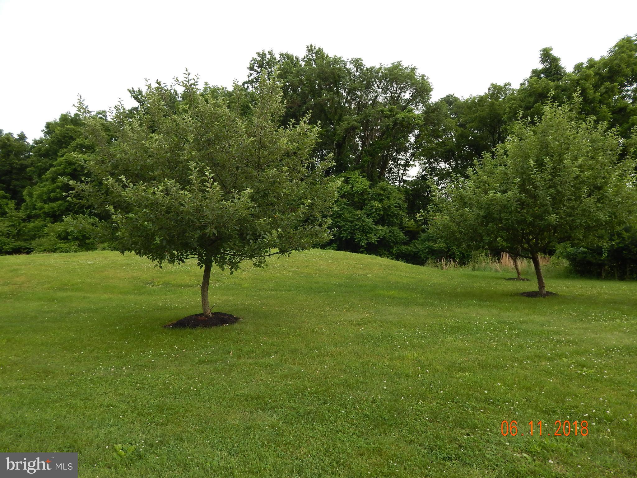 268 Valley Road Etters, PA 17319 - Photo 37 of 47 Gallery Image 37