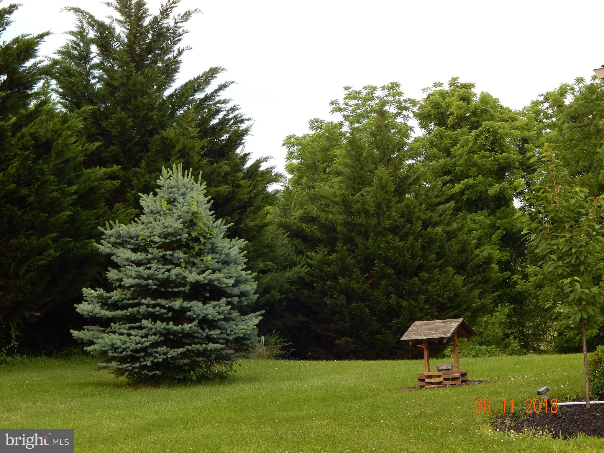 268 Valley Road Etters, PA 17319 - Photo 40 of 47 Front yard