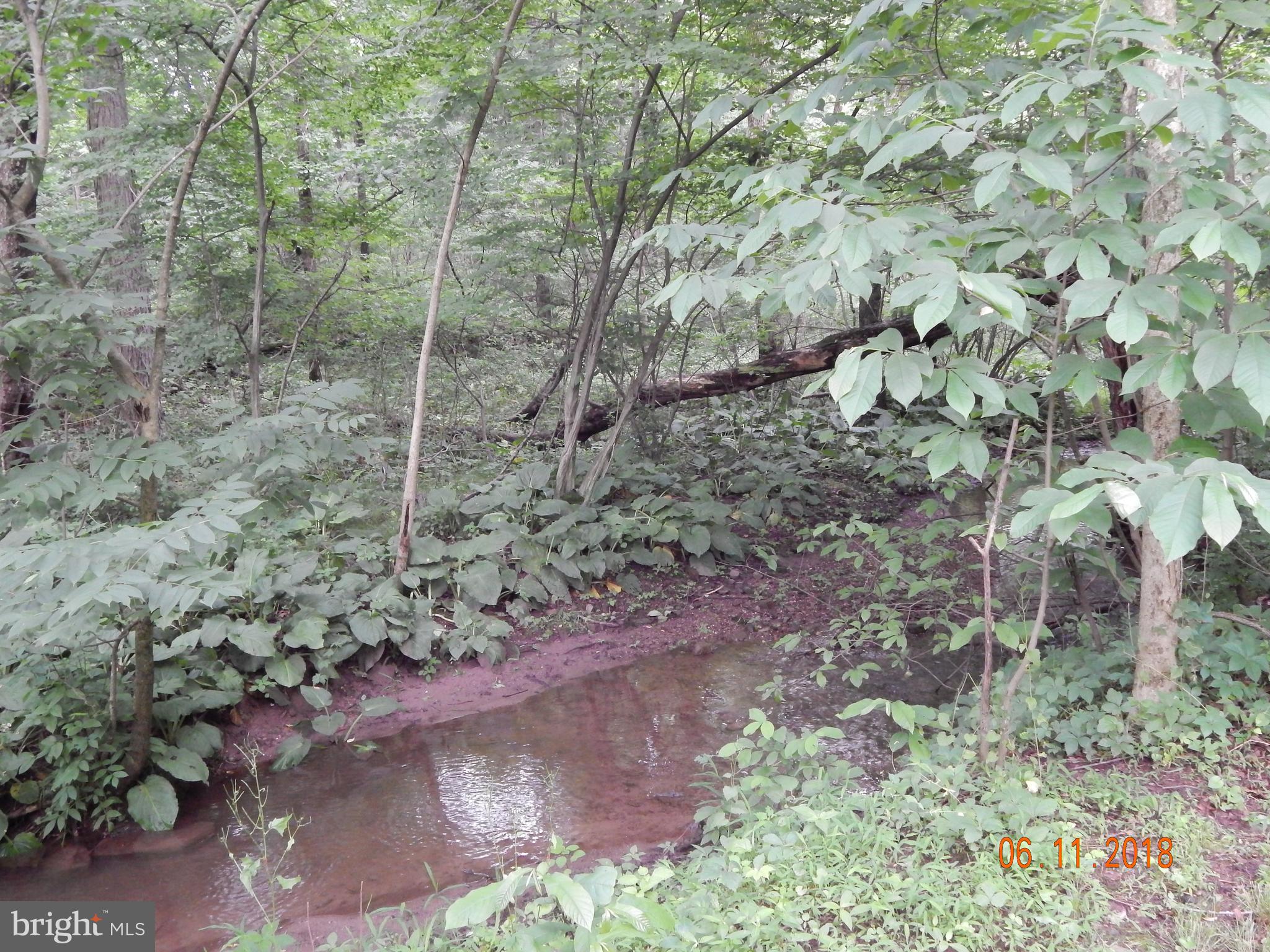 268 Valley Road Etters, PA 17319 - Photo 44 of 47 A peaceful stream