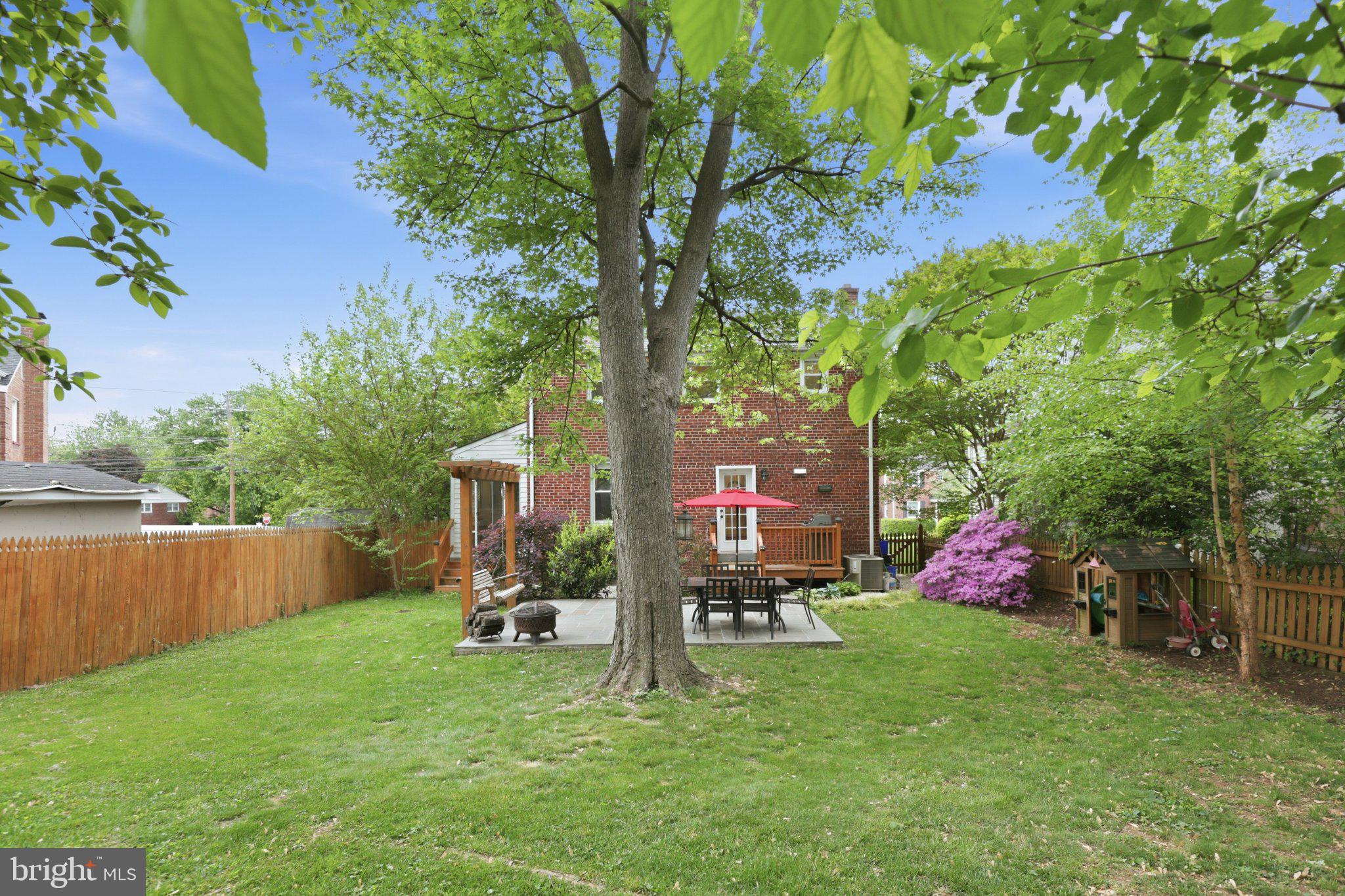 10032 Dallas Avenue Silver Spring, MD 20901 - Photo 35 of 38 Lush backyard oasis with vibrant blooms.