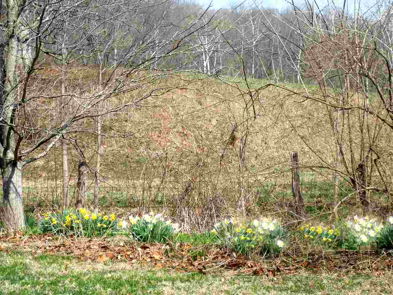8149 North Denny Road Bloomington, IN 47404 - Photo 19 of 21