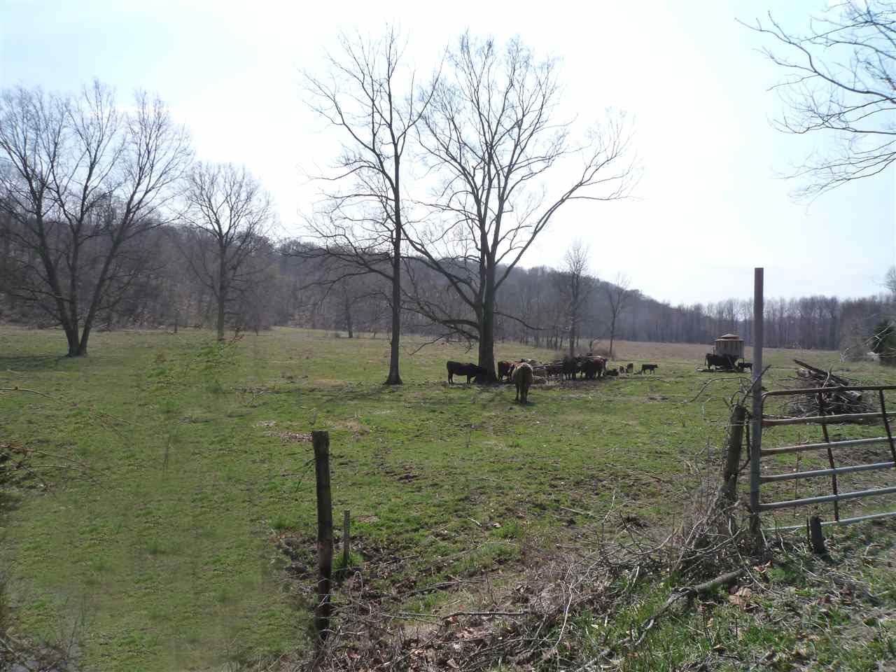 8149 North Denny Road Bloomington, IN 47404 - Photo 21 of 21