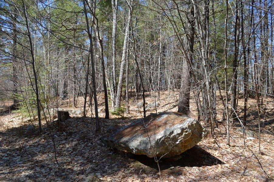 Lot 59 North Shore Road Gray, ME 04039 - Photo 16 of 22 Photo