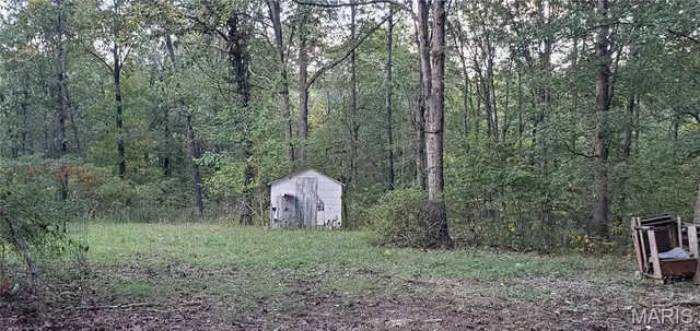 $99,500 | 667 County Road 4060, Salem, MO 65560