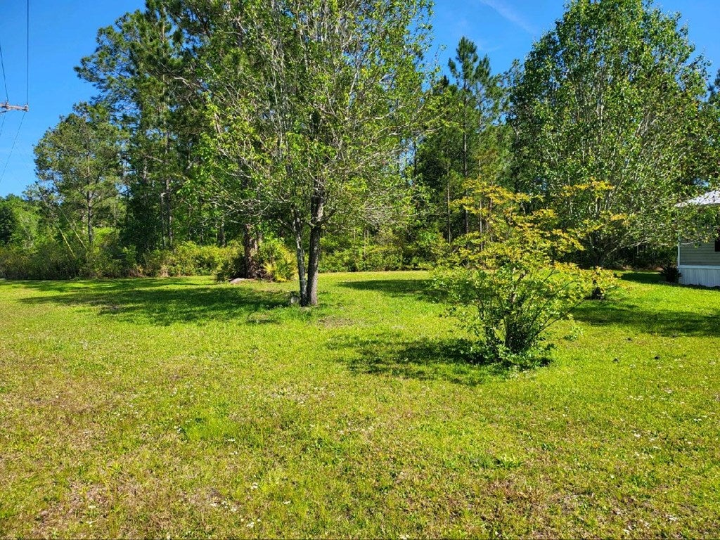 1661 Caulie Harris Road Adel, GA 31620 - Photo 20 of 20 Gallery Image 20