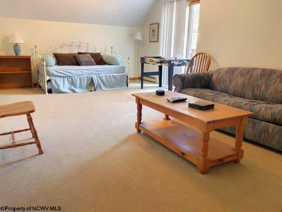 258 Brookside Road Davis, WV 26260 - Photo 8 of 20 Gallery Image 8