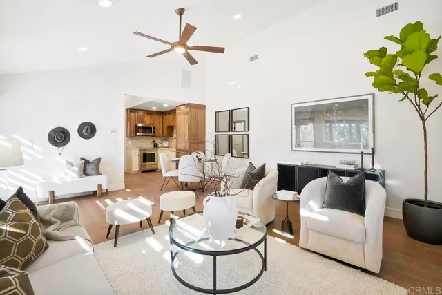a living room with furniture and a potted plant