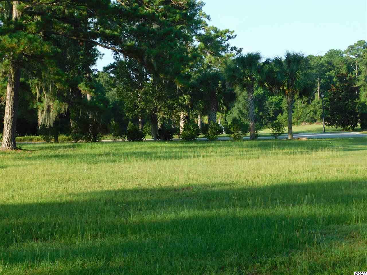 Lot 2 Belle Rive Road Georgetown, SC 29440 - Photo 2 of 18 Gallery Image 2