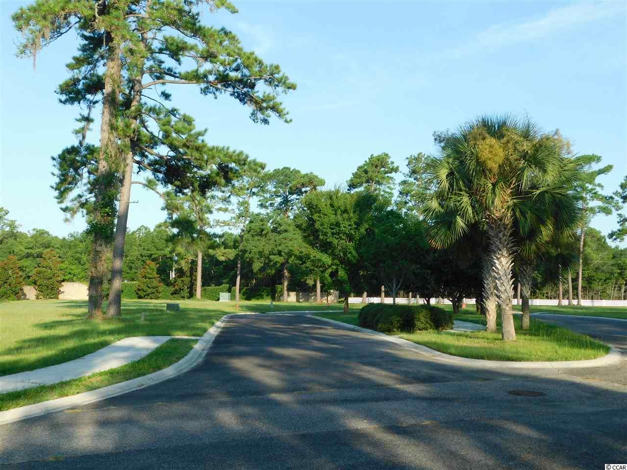 Lot 2 Belle Rive Road Georgetown, SC 29440 - Photo 3 of 18 Gallery Image 3