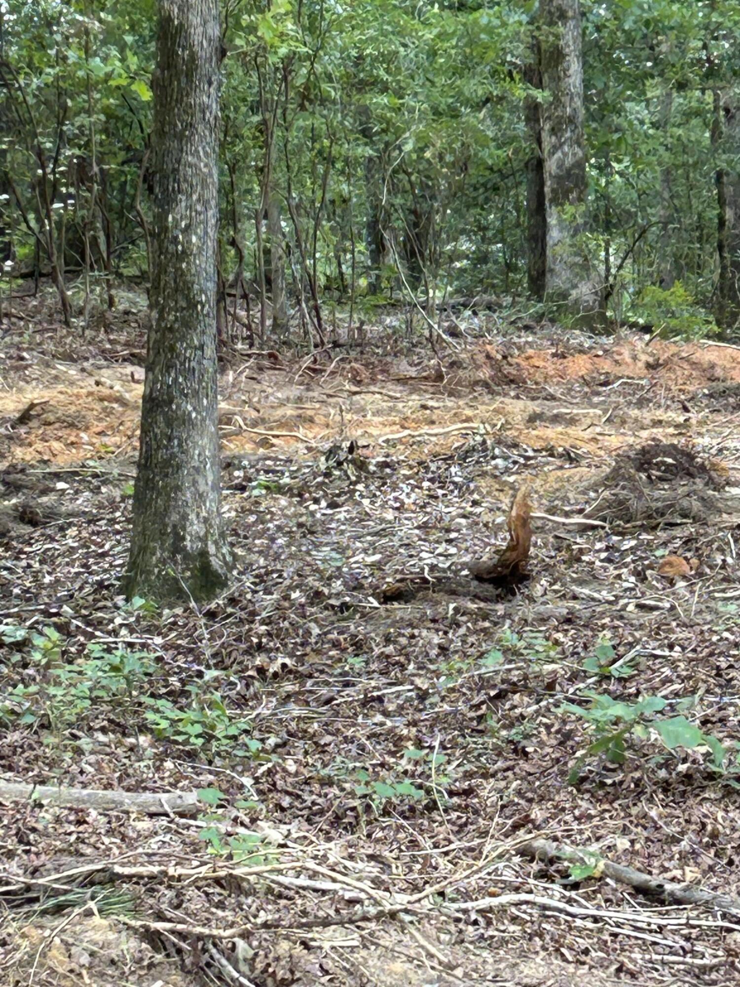 4570 Seymour Road Dalzell, SC 29040 - Photo 2 of 5 IMG_9410