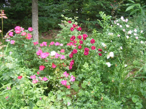 $725,000 | 26 Jonathan Lane, Bow, NH 03304