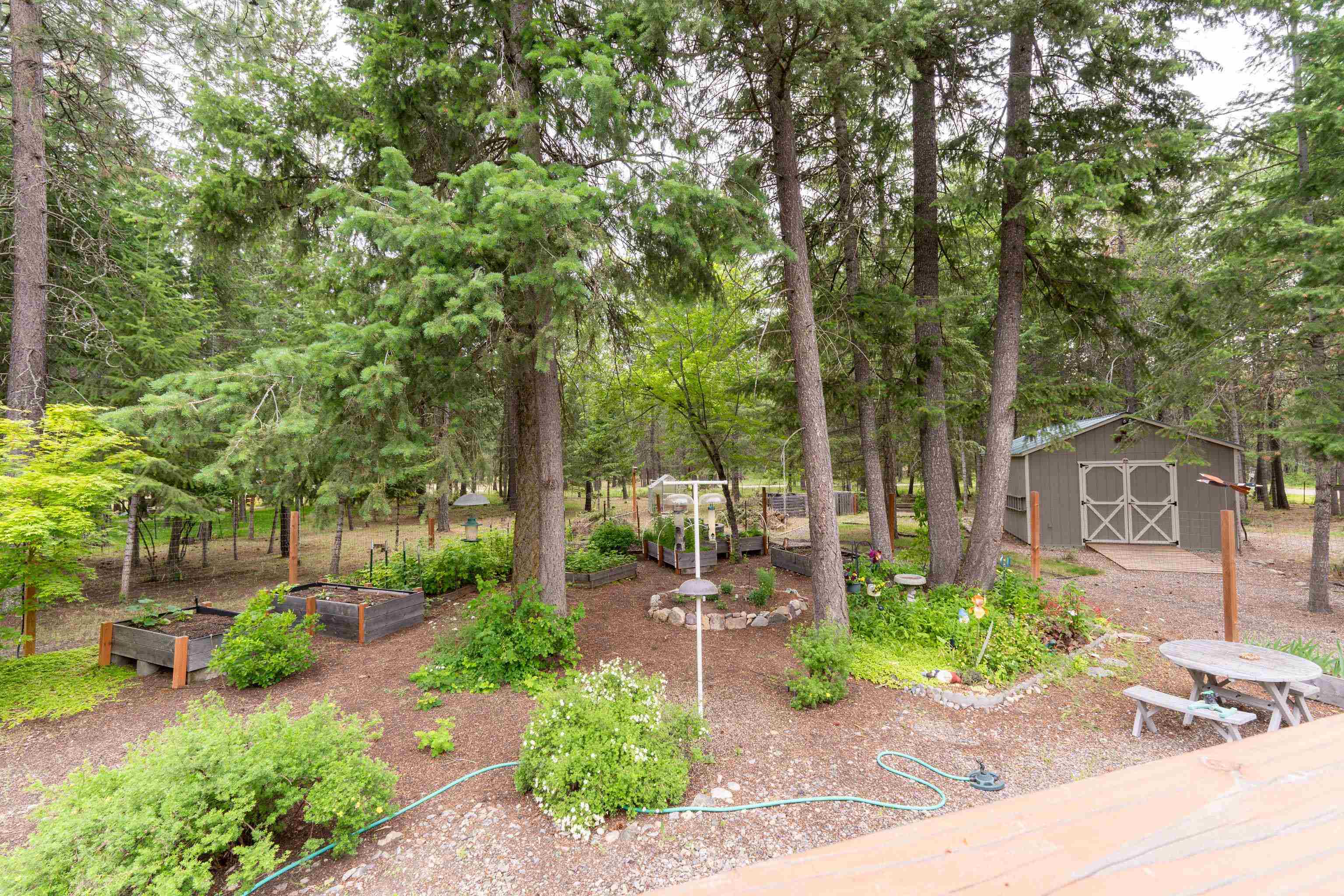 3853 White Pine Road Loon Lake, WA 99148 - Photo 6 of 39