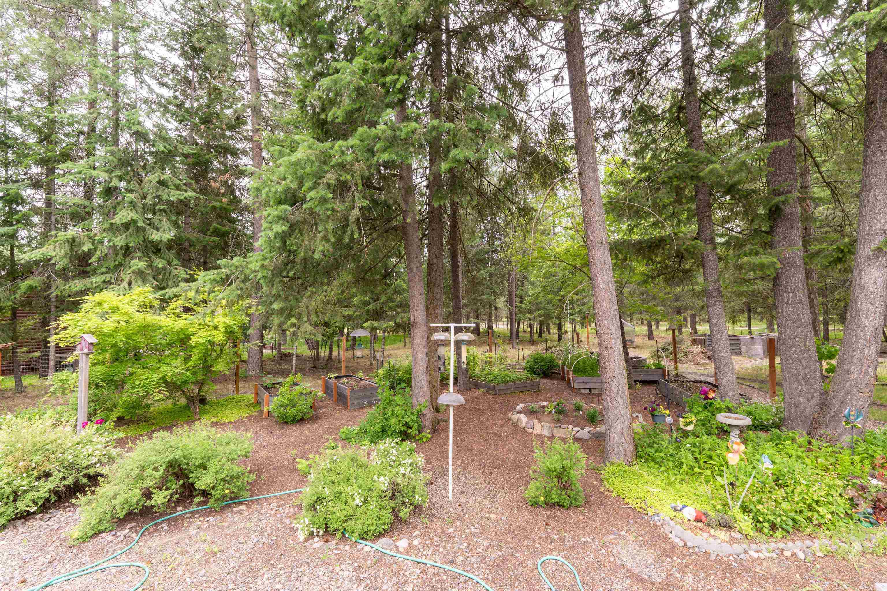 3853 White Pine Road Loon Lake, WA 99148 - Photo 7 of 39