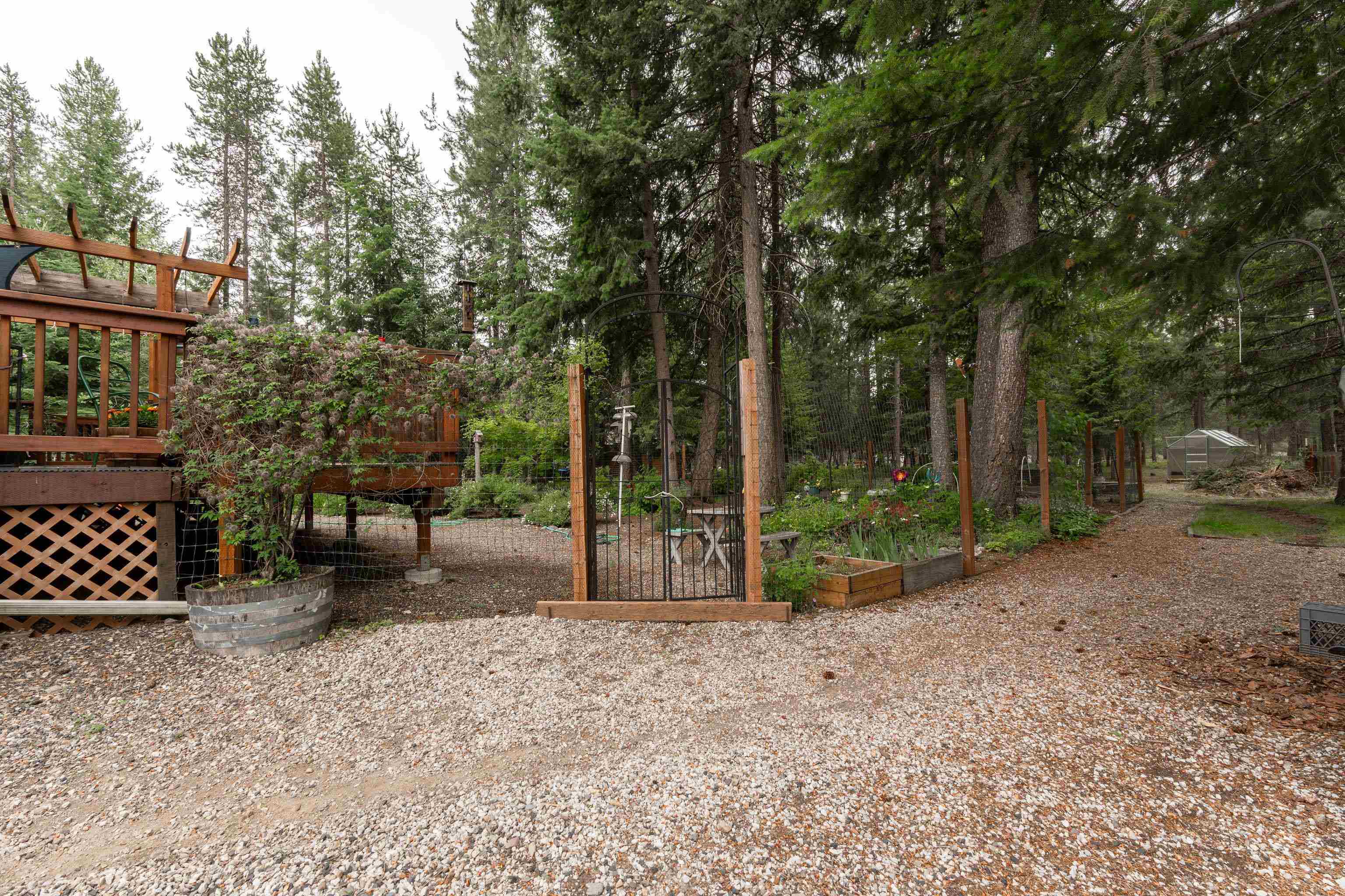 3853 White Pine Road Loon Lake, WA 99148 - Photo 9 of 39