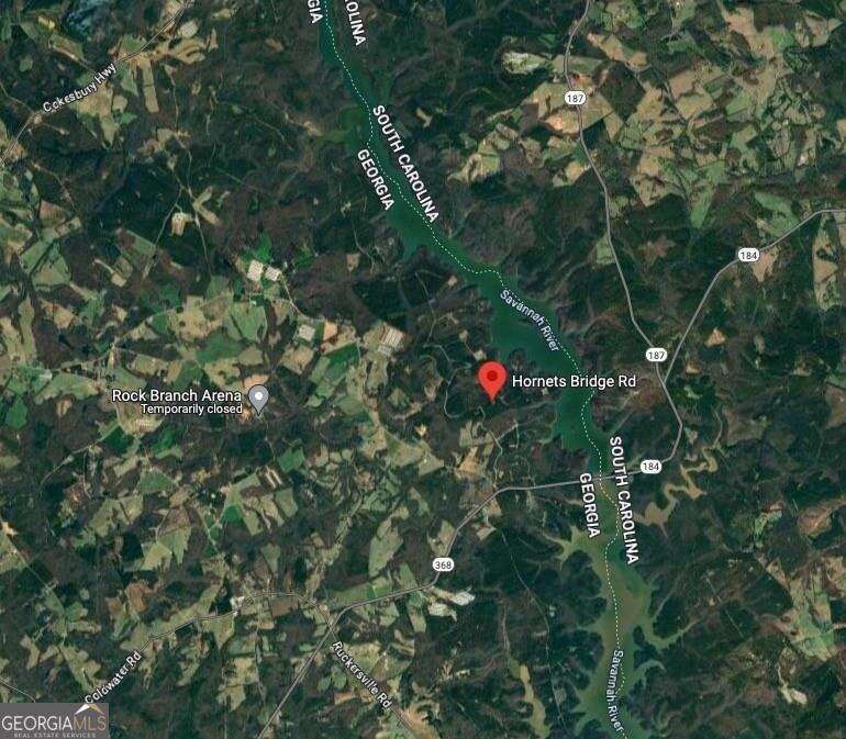 0 Hornets Bridge Road, Unit 2 Elberton, GA 30635 - Photo 2 of 3 a view of a plant in a garden