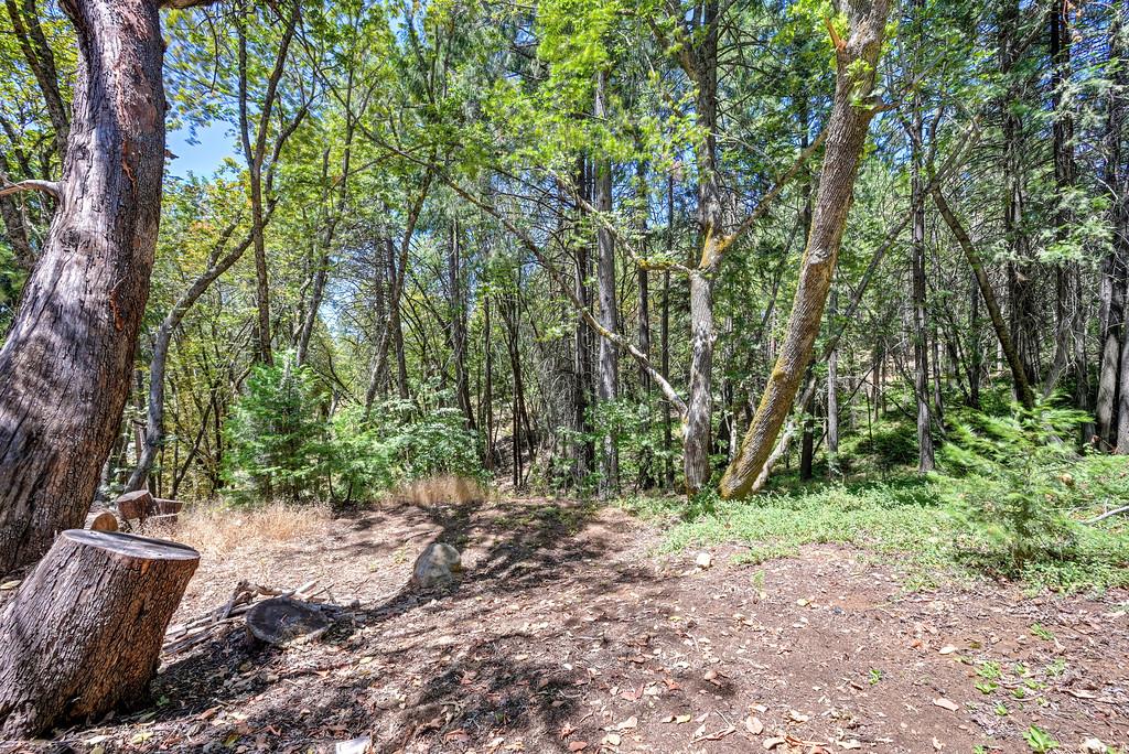2585 Crystal Springs Road Camino, CA 95709 - Photo 87 of 89