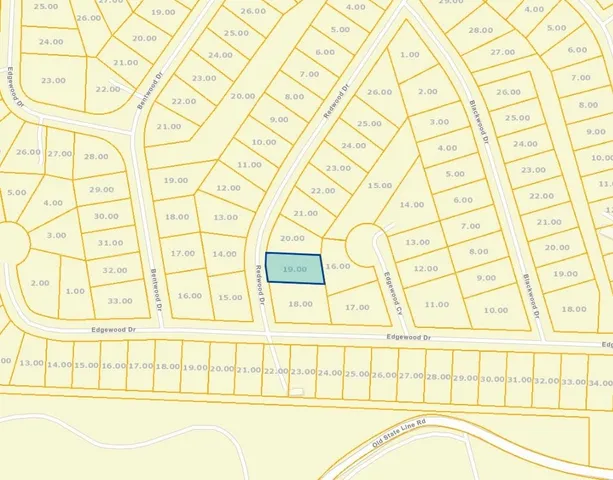 a bathroom with a sink and a shower curtain