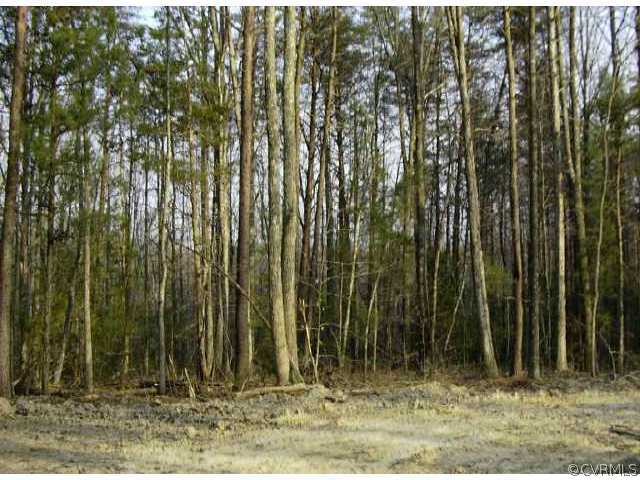0 Lake Killarney Road Gum Spring, VA 23065 - Photo 1 of 1