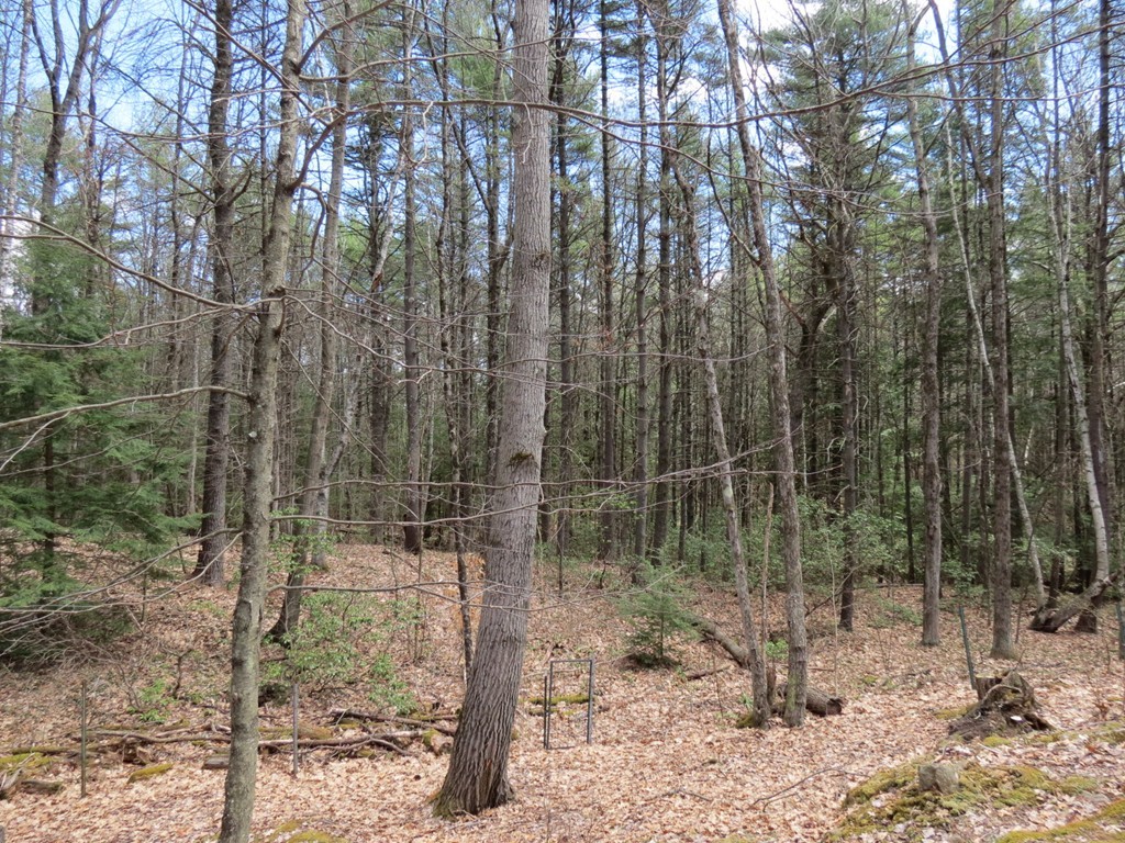 530 Conant Road Athol, MA 01331 - Photo 19 of 26