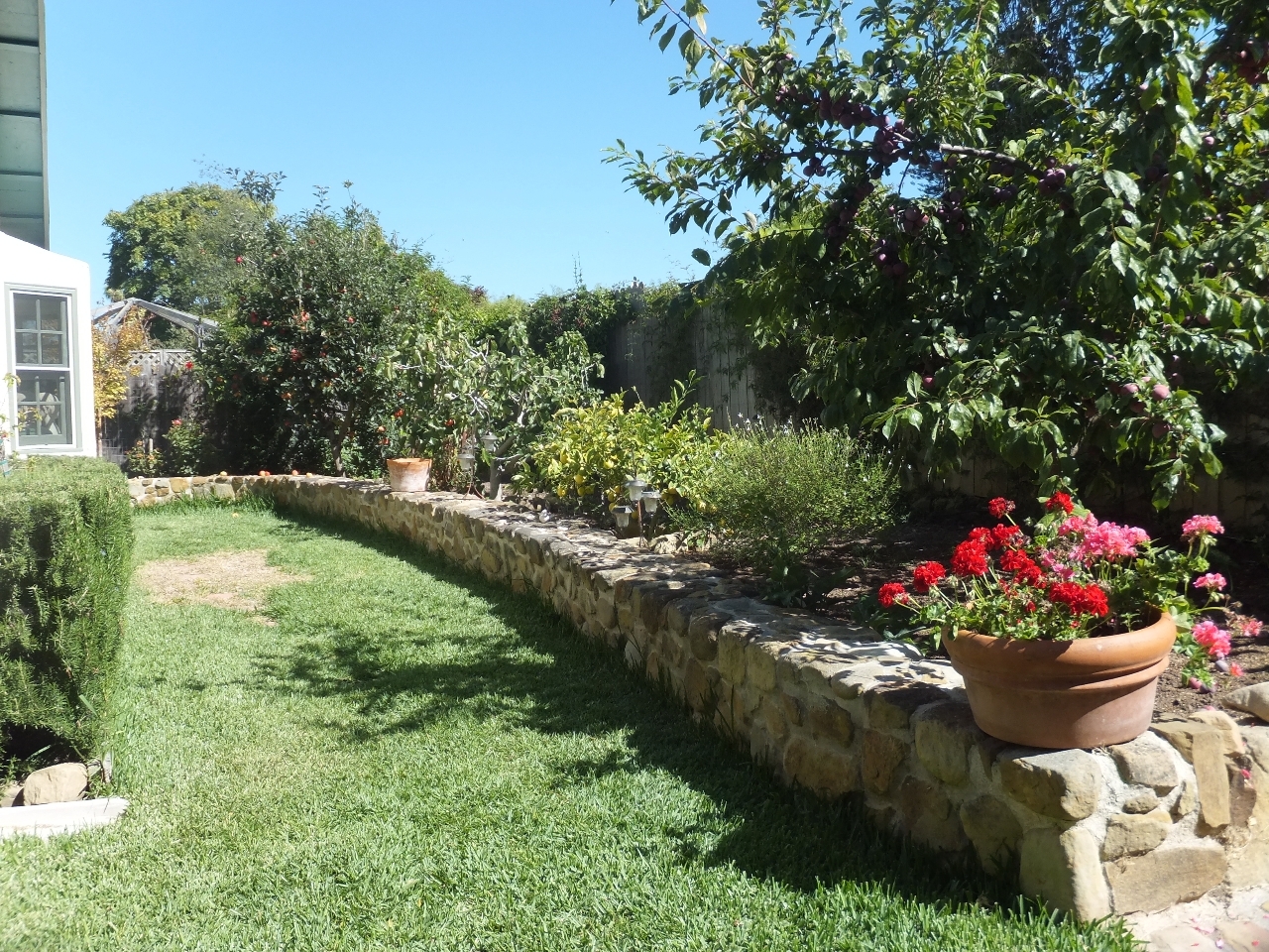 5367 Ogan Road Carpinteria, CA 93013 - Photo 11 of 12 side garden