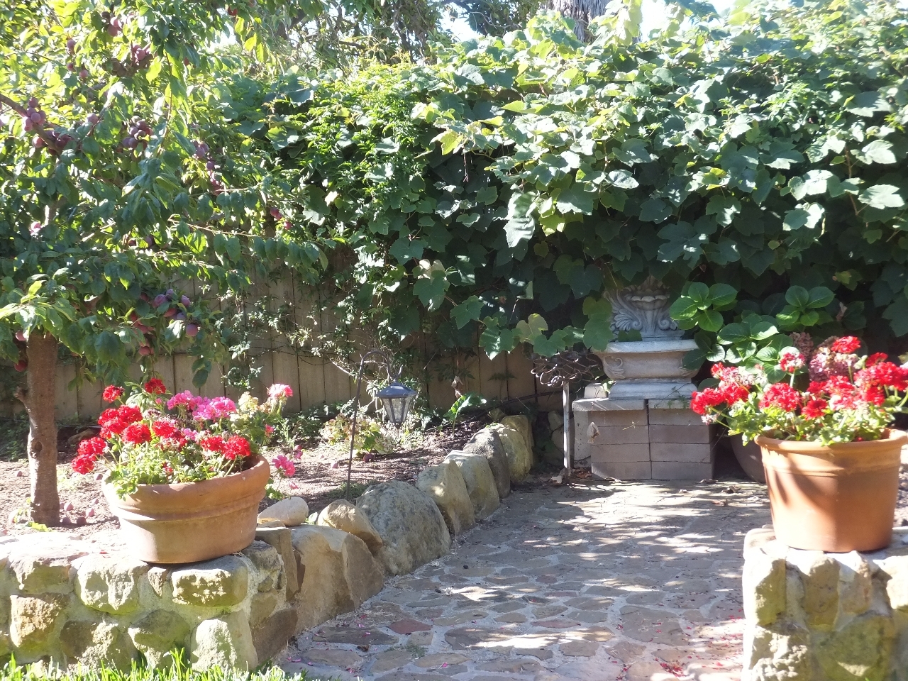 5367 Ogan Road Carpinteria, CA 93013 - Photo 9 of 12 garden