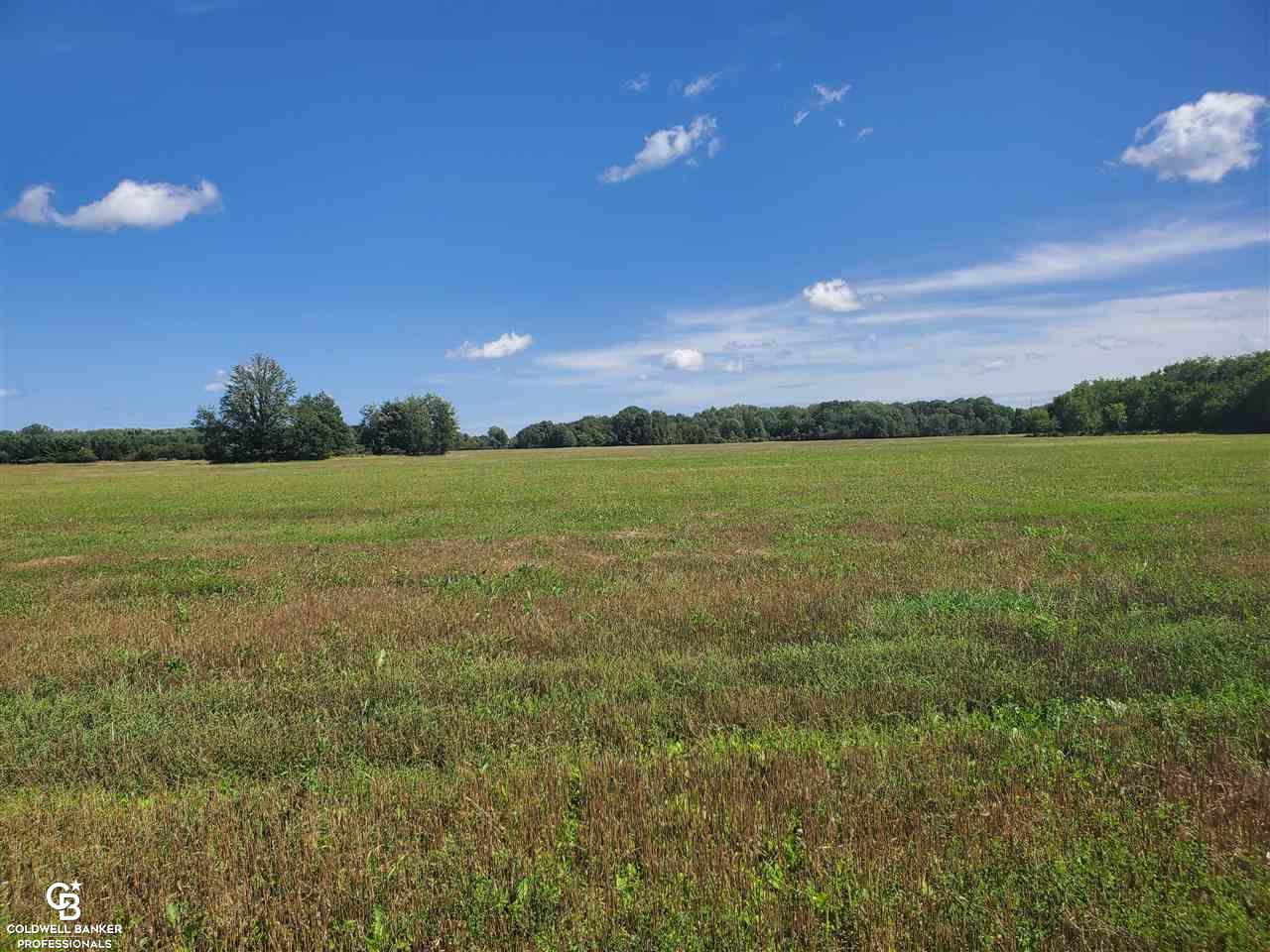Brockway Road East Yale, MI 48097 - Photo 2 of 9 50082798-1.JPG