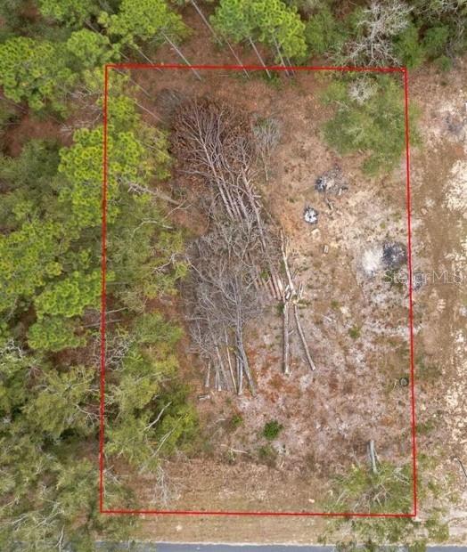 121 Northeast State Road Williston, FL 32696 - Photo 1 of 1 a backyard of a house