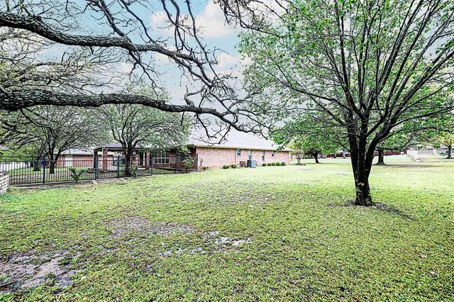 a tree in the garden of a house