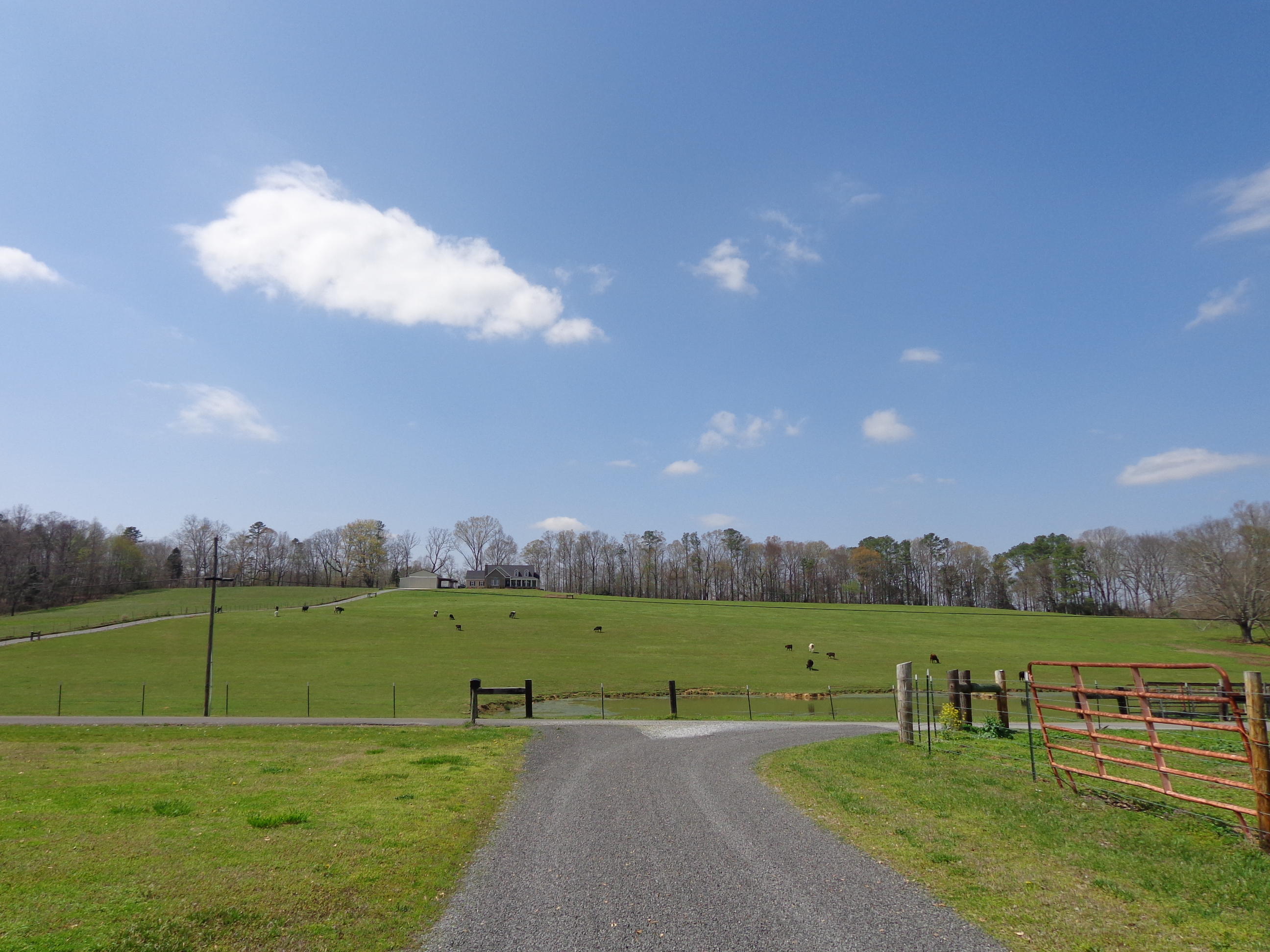 372 Sugar Creek Road Southeast Cleveland, TN 37323 - Photo 11 of 18 DSC02847